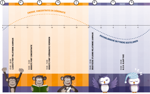 Het complete combipack: Multi Dag & Nacht Junior van Vitakruid schema