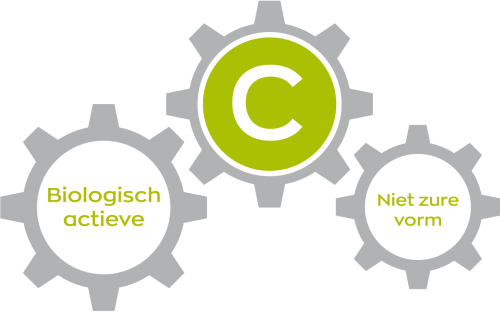 Vitakruid Gebufferde Vitamine C 90 capsules, biologisch actieve vorm van vitamine C. Puur Diana Shop Nuenen