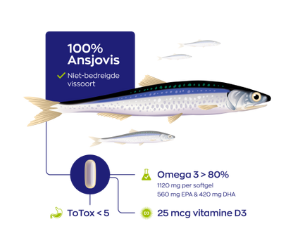 Duurzame ansjovisvangst GoldenOmega® voor Visolie 1400 TG®