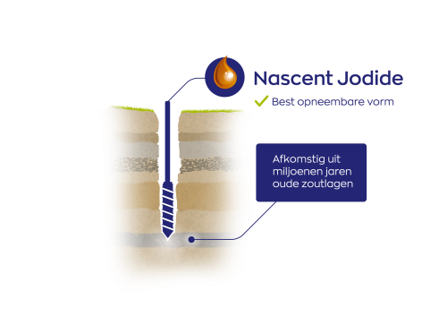 Illustratie van aardlagen met een druppel nascent jodium en tekst over herkomst uit miljoenen jaren oude zoutlagen
