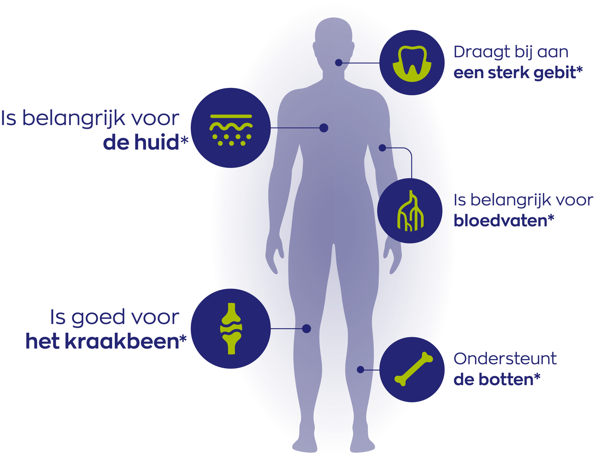 SilSolutions® Naturel – smaakloze variant met silicium en vitamine C