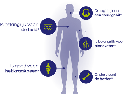 SilSolutions® Naturel – smaakloze variant met silicium en vitamine C