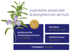 Vitakruid Beauté Collageen Complex, met DracoBelle Nu en Cynatine HNS in de collageenformule. Puur Diana Shop Nuenen