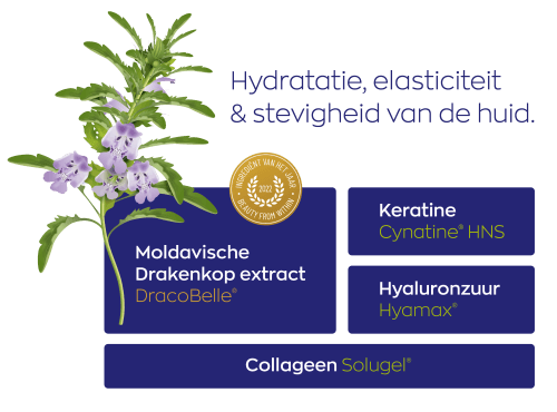 Vitakruid Beauté Collageen Complex, met DracoBelle Nu en Cynatine HNS in de collageenformule. Puur Diana Shop Nuenen