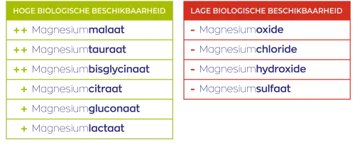 Vitakruid Magnesium 200 Complex 90 tabletten, close-up van de tabletten met goed opneembare magnesiumvormen. Puur Diana Shop Nuenen