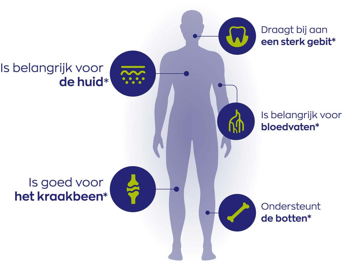 Vitakruid SilSolutions Tropical 500 ml, vloeibaar supplement voor glanzend haar en een stevige huid. Puur Diana Shop Nuenen
